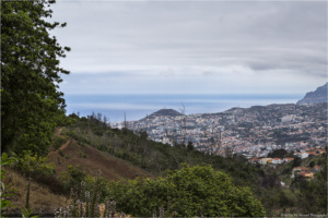 Madeira-20150624-(1283) copy