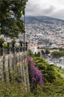 Madeira-20150626-(1500) copy
