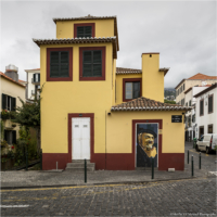 Madeira-20150626-(1583) copy