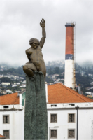 Madeira-20150626-(1600) copy