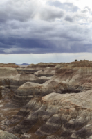 Petrified Forest-20180712-(6766) copy